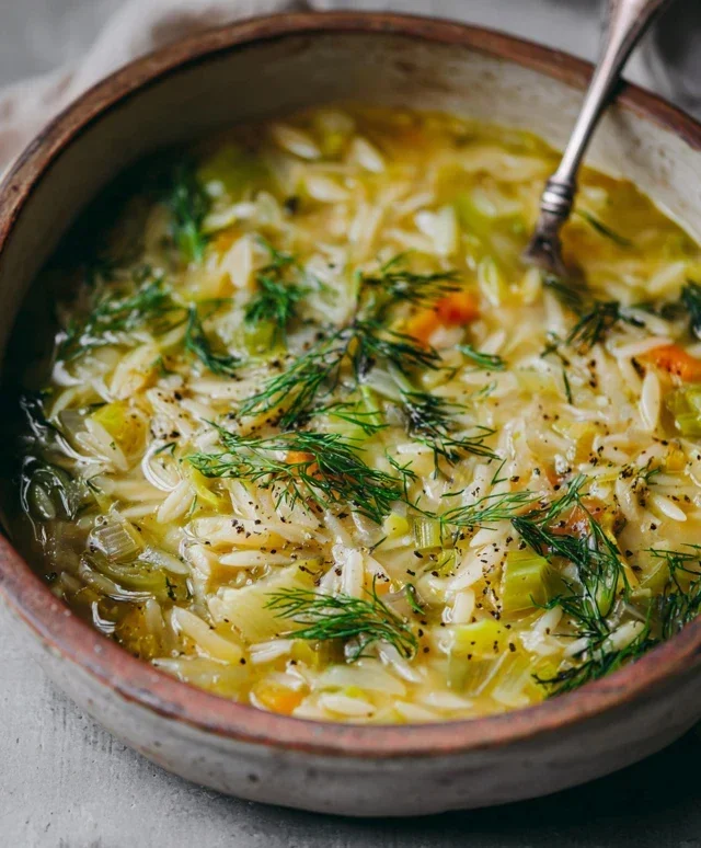 Orzo Leek and Dill Soup